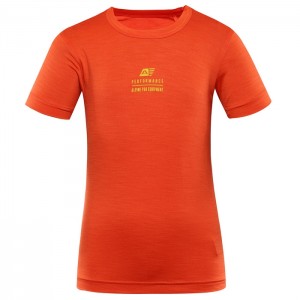 Koszulka sportowa dziecięca ALPINE PRO KTSC431 BASIKO 329