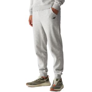 Spodnie dresowe męskie 4F 4FWMM00TTROM0942 27M