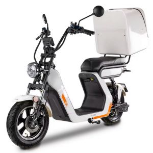 Skuter elektryczny BILI BIKE E-BALDUR DELIVERY 2.0 80Ah/2x60V 45km/h White