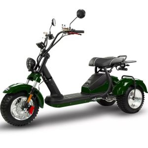 Skuter elektryczny BILI COCO TRÓJKOŁOWY HM SPORT Green