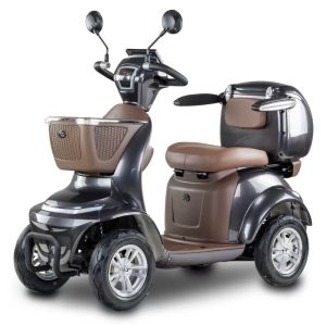 Skuter elektryczny BILI BIKE SHINO G6-4, 20km/h Gray